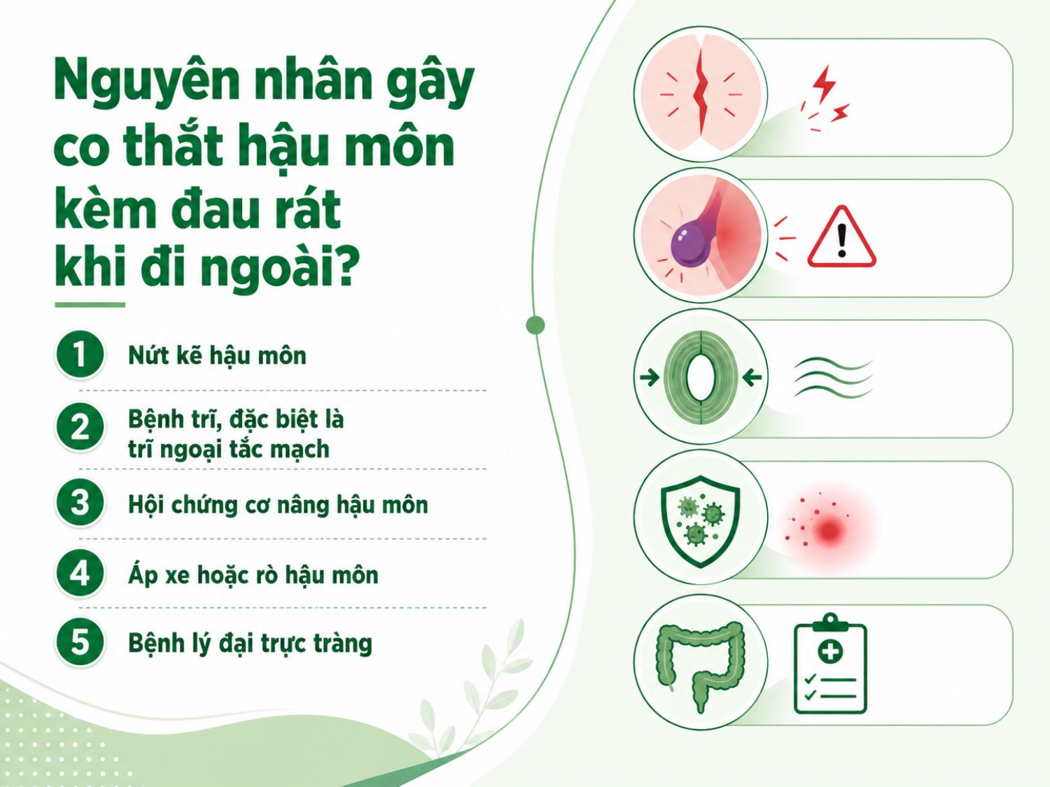 Co thắt hậu môn kèm đau rát khi đi ngoài có thể liên quan đến nhiều bệnh lý khác nhau như nứt kẽ hậu môn, trĩ, áp xe – rò hậu môn hoặc các vấn đề ở đại trực tràng, cần thăm khám để xác định đúng nguyên nhân.