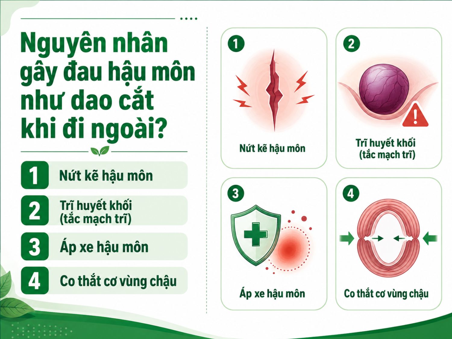 Đau hậu môn dữ dội như dao cắt khi đi ngoài có thể liên quan đến nứt kẽ hậu môn, trĩ huyết khối, áp xe hậu môn hoặc co thắt cơ vùng chậu; người bệnh nên thăm khám sớm để xác định đúng nguyên nhân và điều trị phù hợp.