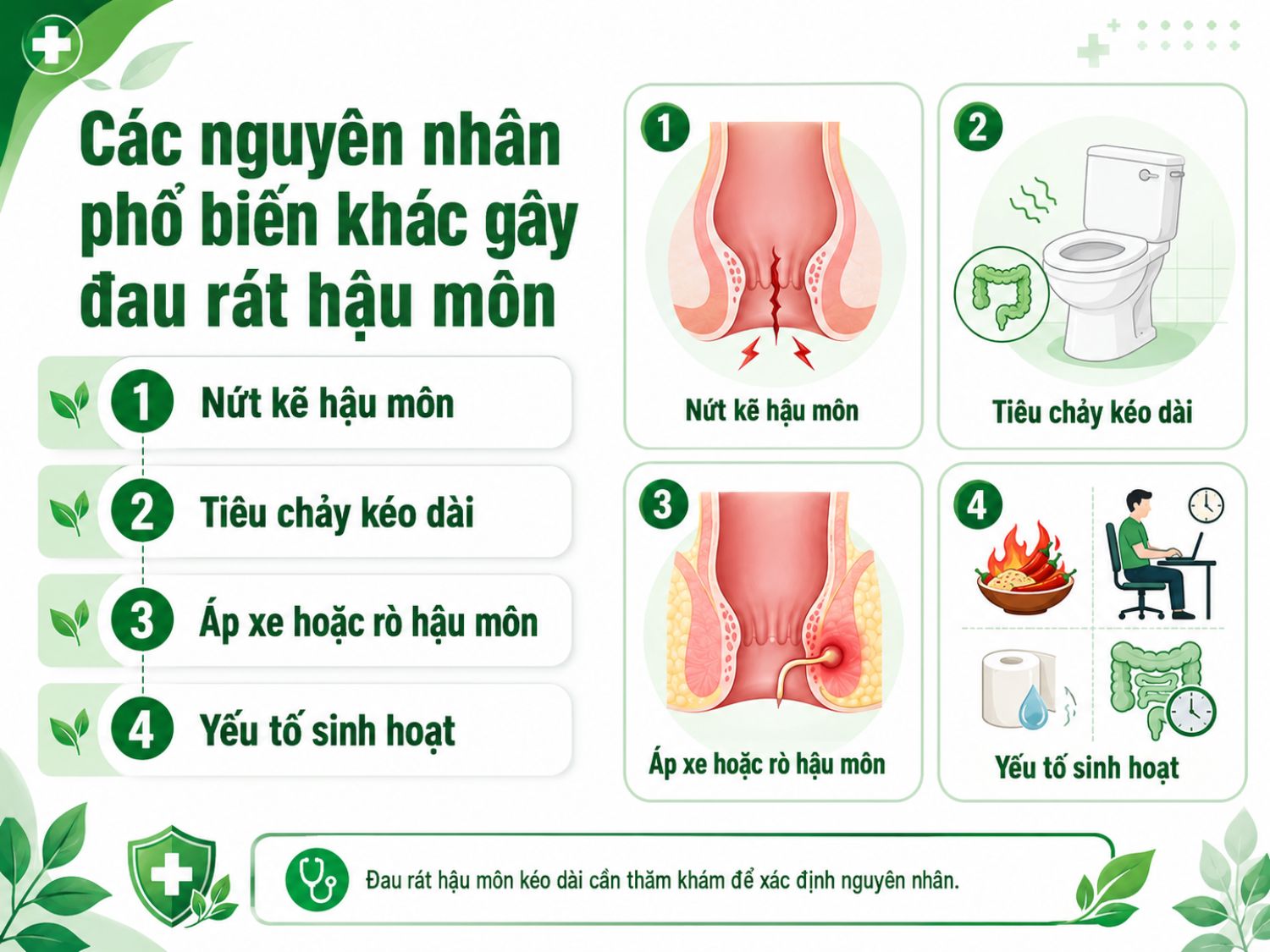 Đau rát hậu môn có thể liên quan đến nứt kẽ, tiêu chảy kéo dài, áp xe, rò hậu môn hoặc thói quen sinh hoạt không phù hợp; triệu chứng kéo dài nên được thăm khám để xác định nguyên nhân.