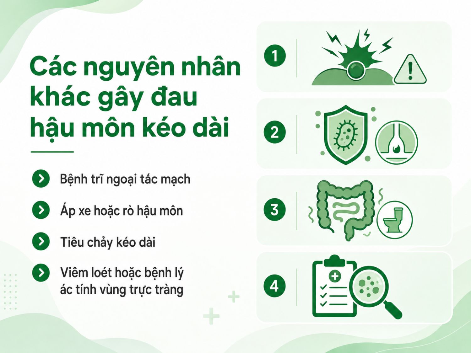 Đau hậu môn kéo dài có thể liên quan đến nhiều bệnh lý như trĩ ngoại tắc mạch, áp xe – rò hậu môn, tiêu chảy kéo dài hoặc tổn thương vùng trực tràng, cần thăm khám để xác định nguyên nhân.