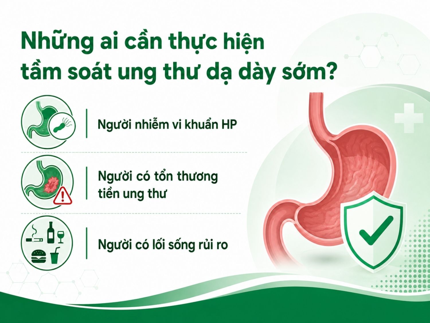 Tầm soát ung thư dạ dày sớm đặc biệt cần thiết với người nhiễm HP, người có tổn thương tiền ung thư hoặc có lối sống rủi ro. Việc kiểm tra đúng thời điểm giúp phát hiện sớm bất thường và tăng cơ hội can thiệp hiệu quả.