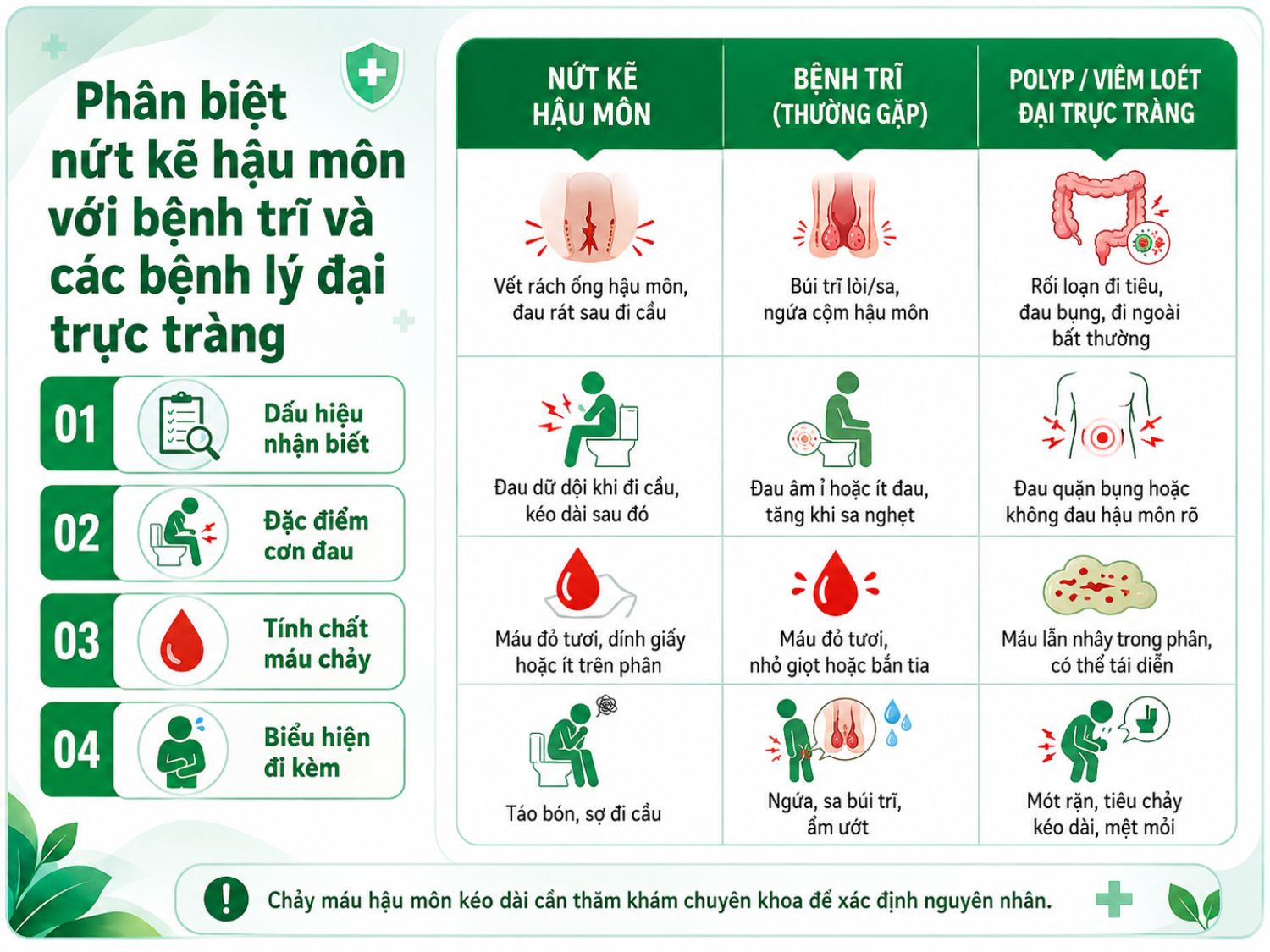 Nứt kẽ hậu môn, bệnh trĩ và các bệnh lý đại trực tràng có thể cùng gây chảy máu khi đi tiêu nhưng khác nhau về vị trí đau, tính chất máu và biểu hiện đi kèm.