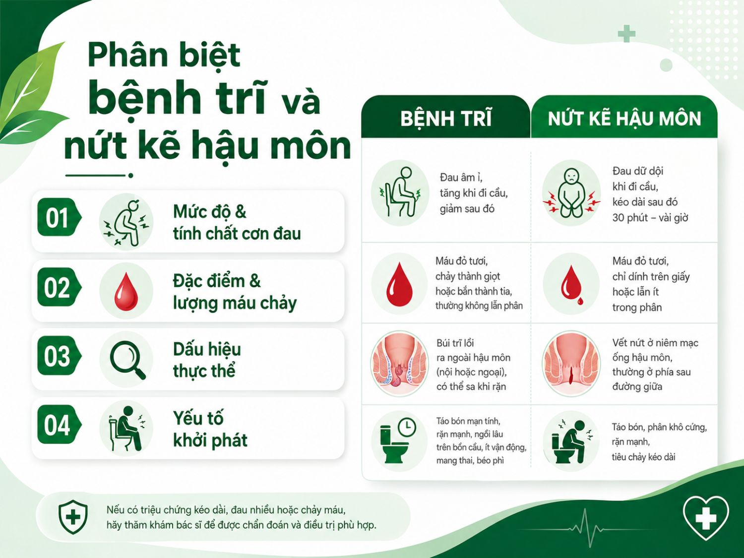 Bệnh trĩ và nứt kẽ hậu môn có thể cùng gây đau, chảy máu khi đại tiện nhưng khác nhau về tính chất cơn đau, lượng máu và dấu hiệu tổn thương.
