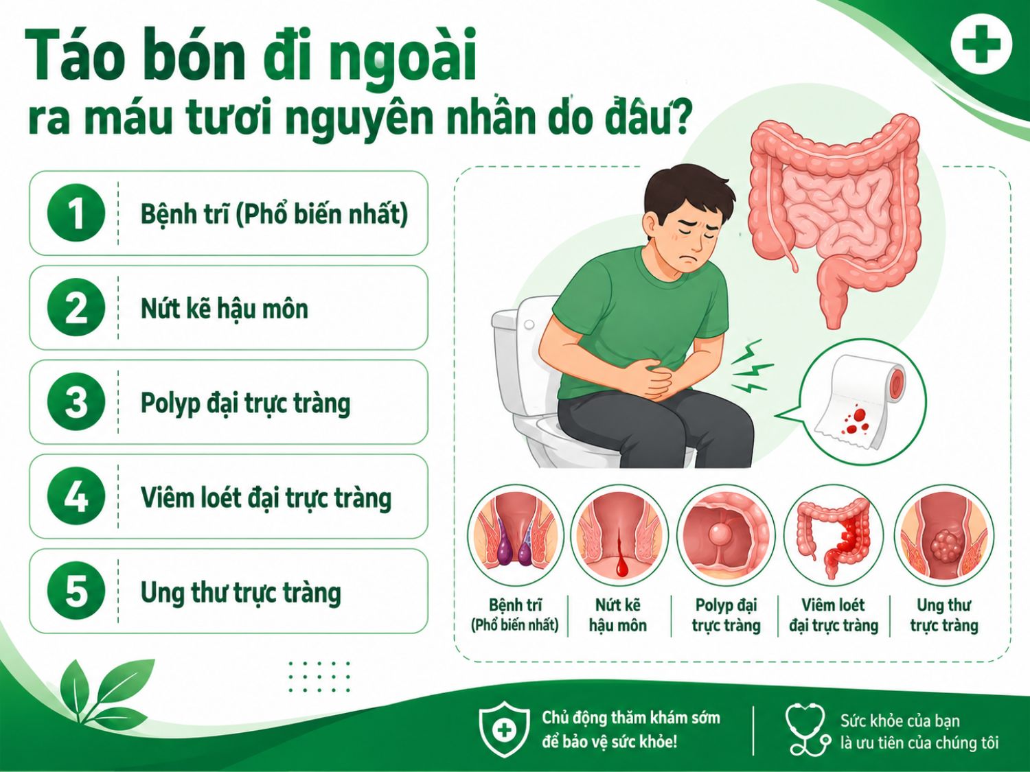 Táo bón đi ngoài ra máu tươi không chỉ do bệnh trĩ mà còn có thể liên quan đến nứt kẽ hậu môn, polyp, viêm loét đại trực tràng hoặc các bệnh lý nghiêm trọng hơn như ung thư trực tràng. Nếu tình trạng lặp lại nhiều lần, người bệnh nên đi khám sớm để xác định nguyên nhân.
