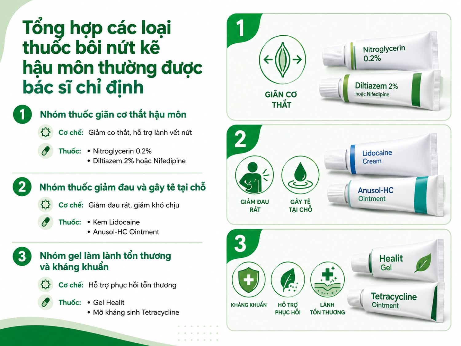 Một số thuốc bôi nứt kẽ hậu môn thường được bác sĩ chỉ định có thể chia thành 3 nhóm chính: giãn cơ thắt hậu môn, giảm đau – gây tê tại chỗ và hỗ trợ làm lành tổn thương, kháng khuẩn.