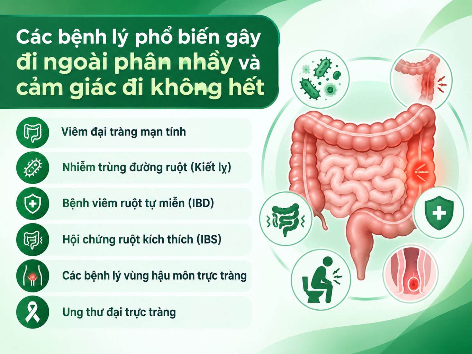 Các bệnh lý phổ biến có thể gây đi ngoài phân nhầy và cảm giác đi không hết, từ rối loạn tiêu hóa thường gặp đến các bệnh lý đại trực tràng cần thăm khám sớm.