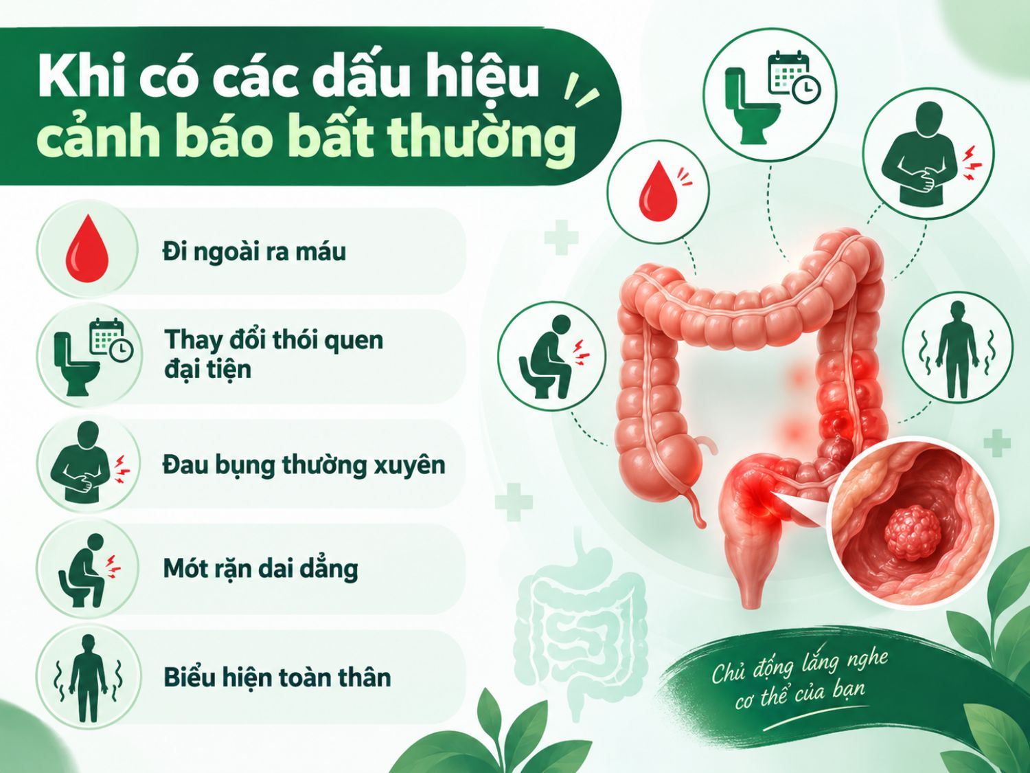 Những dấu hiệu như đi ngoài ra máu, đau bụng kéo dài, thay đổi thói quen đại tiện hoặc mót rặn dai dẳng có thể là cảnh báo bất thường ở đại tràng và cần được thăm khám sớm.