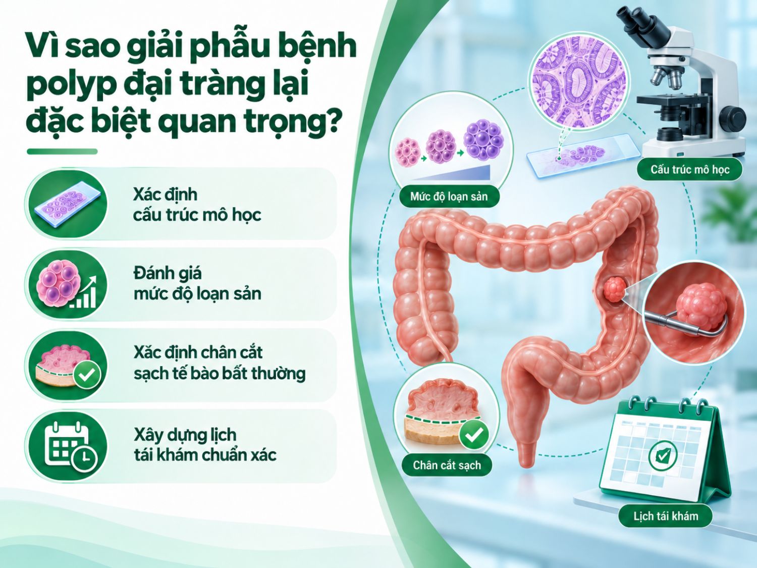 Giải phẫu bệnh polyp đại tràng giúp xác định bản chất tổn thương, đánh giá nguy cơ tiến triển và hỗ trợ xây dựng kế hoạch theo dõi sau cắt polyp chính xác hơn.
