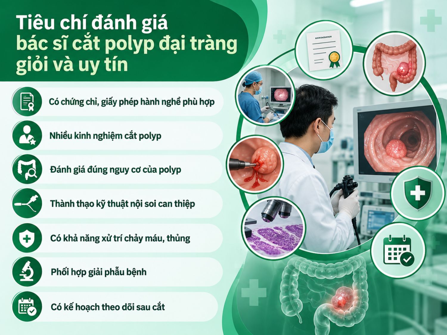 Những tiêu chí quan trọng để đánh giá bác sĩ cắt polyp đại tràng giỏi gồm chứng chỉ phù hợp, kinh nghiệm thực tế, khả năng xử trí biến chứng, phối hợp giải phẫu bệnh và xây dựng kế hoạch theo dõi sau thủ thuật.