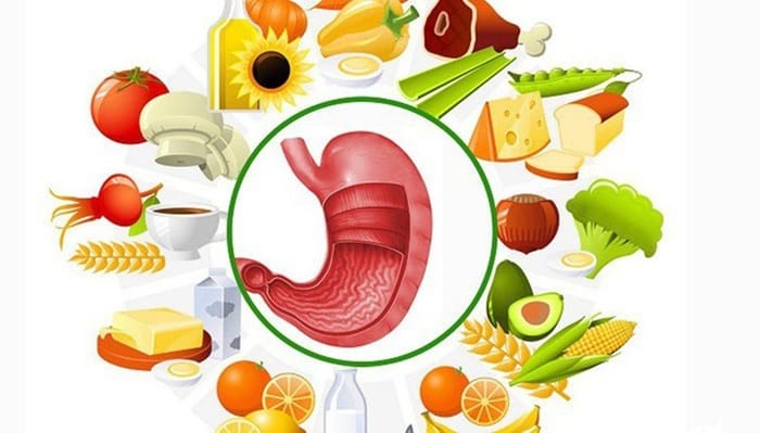 Nên ăn các thực phẩm mềm, dễ tiêu hóa sau khi cắt polyp dạ dày