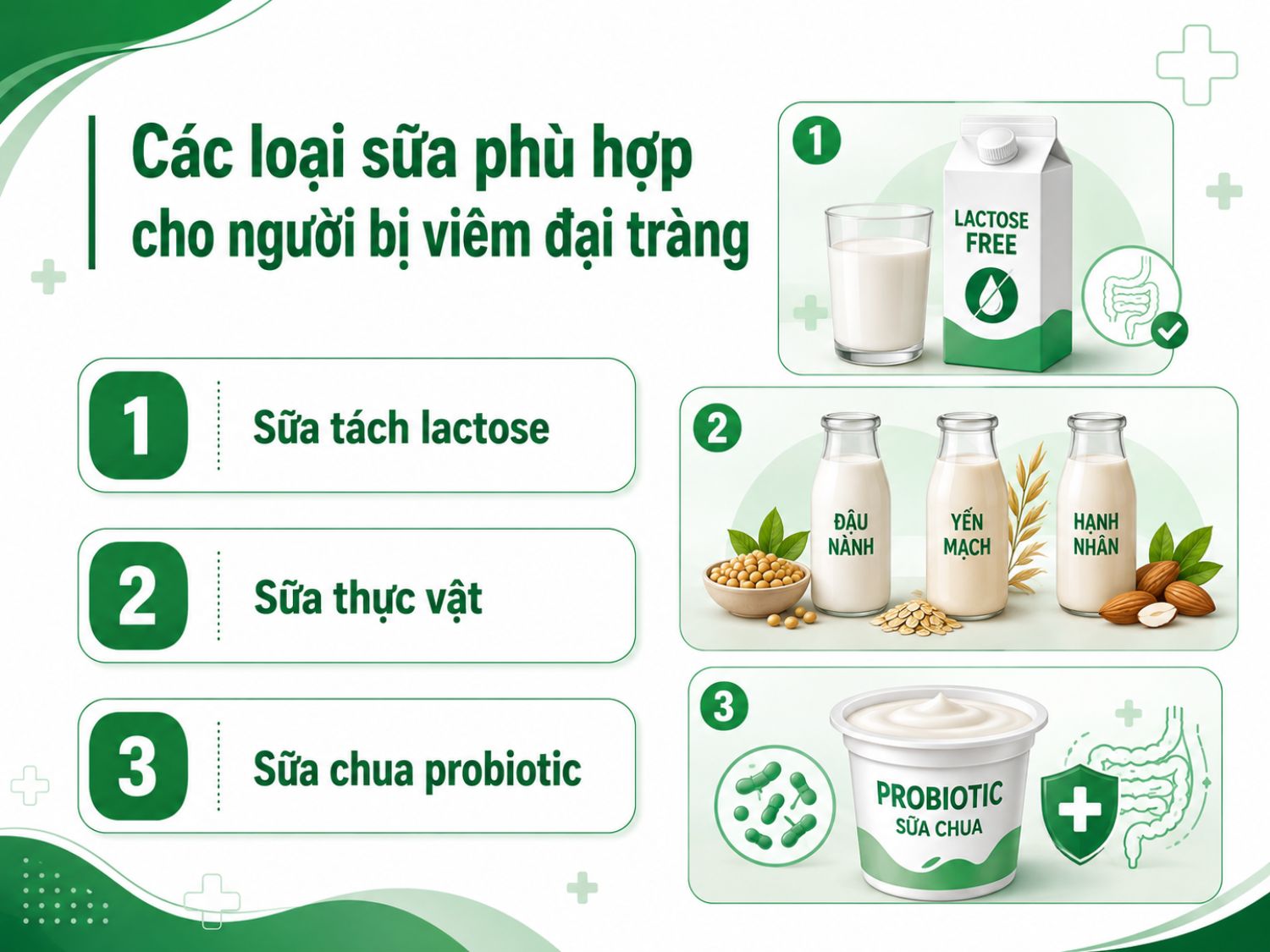 Người bị viêm đại tràng có thể ưu tiên sữa tách lactose, các loại sữa thực vật như đậu nành, yến mạch, hạnh nhân và sữa chua probiotic để giảm kích ứng tiêu hóa và hỗ trợ đường ruột tốt hơn.