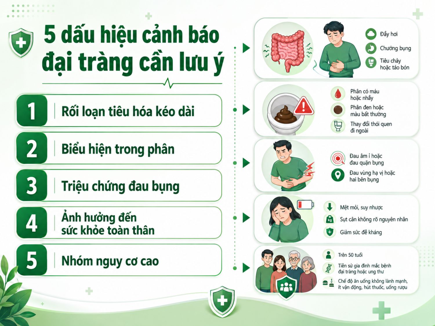 Các dấu hiệu cảnh báo bệnh đại tràng có thể bao gồm đầy hơi, tiêu chảy hoặc táo bón kéo dài, phân bất thường, đau bụng, mệt mỏi, sụt cân và nguy cơ cao ở người lớn tuổi hoặc có tiền sử gia đình liên quan.