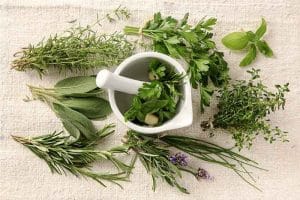 Cây thuốc nam chữa bệnh viêm đại tràng? Gợi ý cách dùng