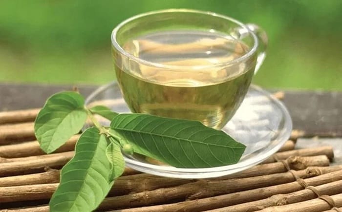 Hãm lá ổi lấ nước uống hàng ngày