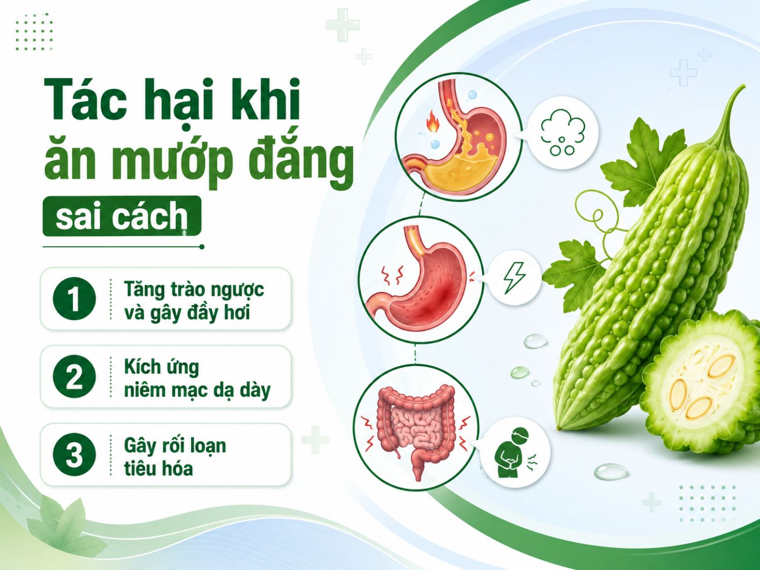 Ăn mướp đắng không đúng cách hoặc dùng quá mức có thể làm tăng cảm giác đầy hơi, khó chịu dạ dày, kích ứng niêm mạc và gây rối loạn tiêu hóa ở người nhạy cảm.