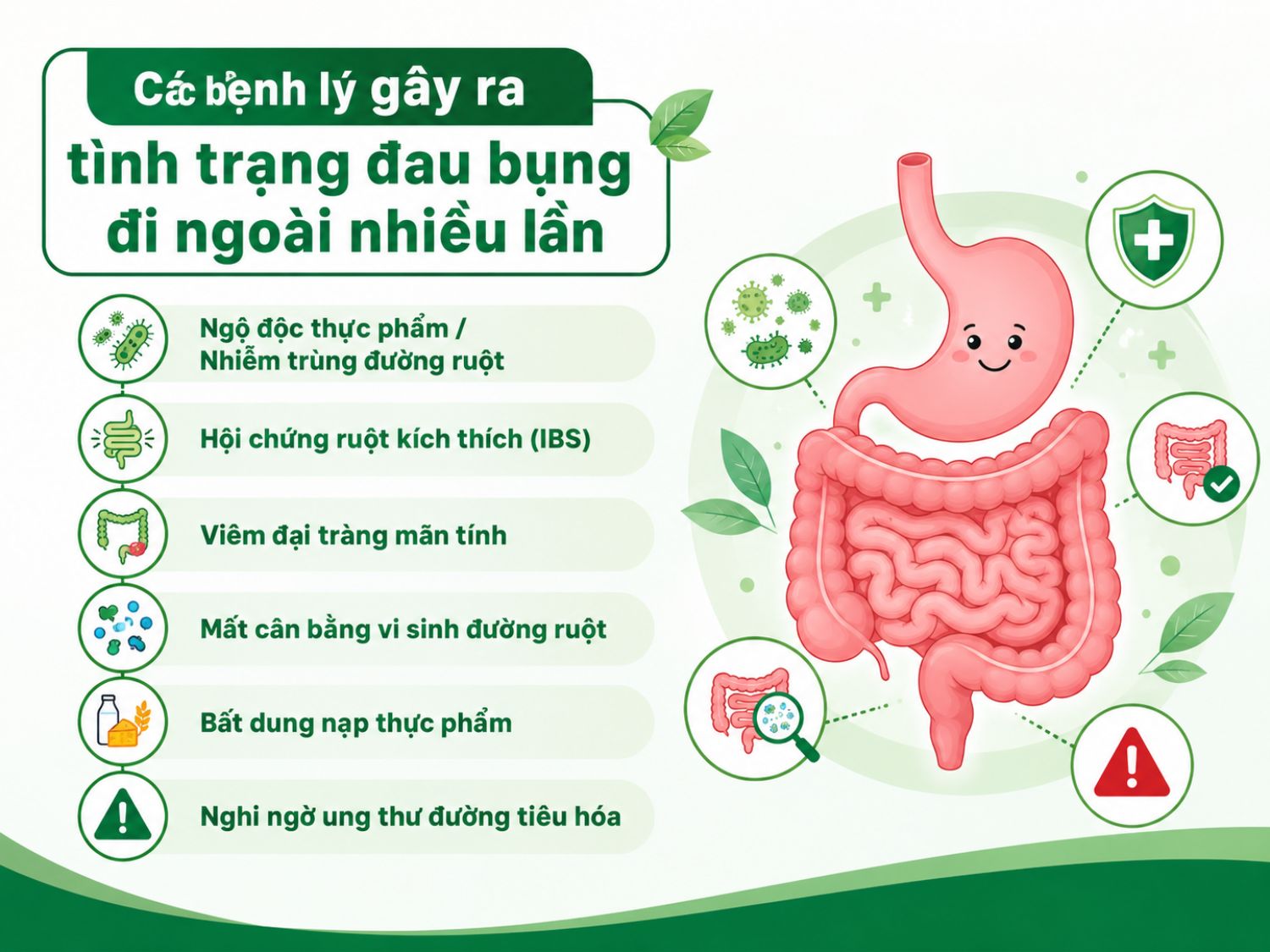 Đau bụng đi ngoài nhiều lần có thể liên quan đến nhiều bệnh lý từ rối loạn tiêu hóa thông thường đến các vấn đề cần theo dõi kỹ hơn như viêm đại tràng hoặc bệnh lý đường ruột. Nếu triệu chứng kéo dài, tái phát nhiều lần hoặc kèm dấu hiệu bất thường, người bệnh nên đi khám sớm.