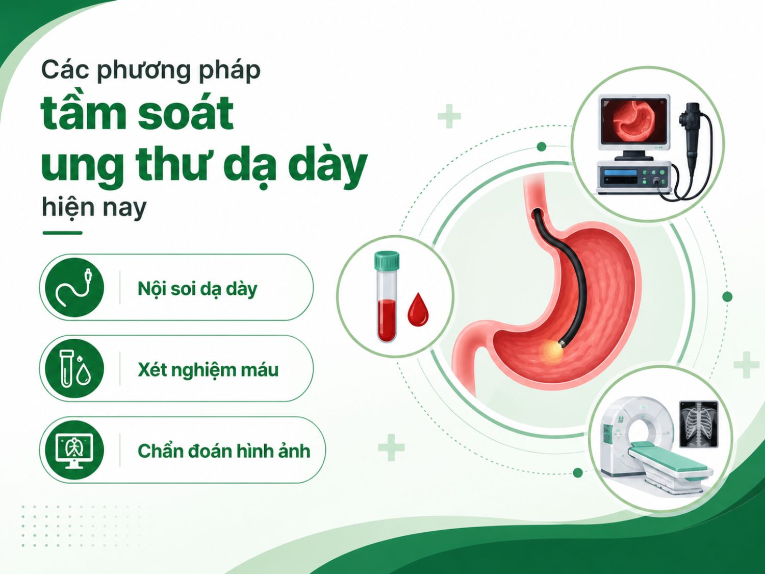 Tầm soát ung thư dạ dày có thể kết hợp nội soi, xét nghiệm máu và chẩn đoán hình ảnh tùy từng trường hợp. Trong đó, nội soi dạ dày giúp bác sĩ quan sát trực tiếp niêm mạc và phát hiện tổn thương bất thường sớm hơn.