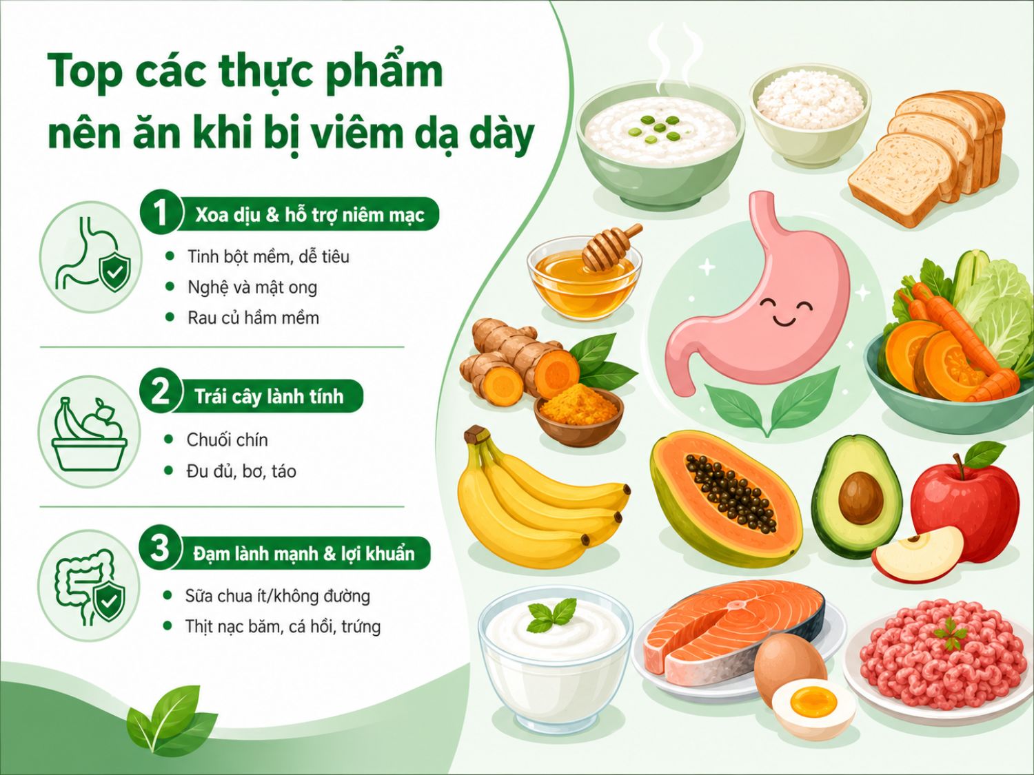 Khi bị viêm dạ dày, người bệnh nên ưu tiên các thực phẩm mềm, dễ tiêu và ít gây kích ứng như cháo, súp, rau củ hầm mềm, trái cây chín lành tính và nguồn đạm nhẹ. Chế độ ăn phù hợp sẽ giúp làm dịu dạ dày và hỗ trợ phục hồi niêm mạc tốt hơn.