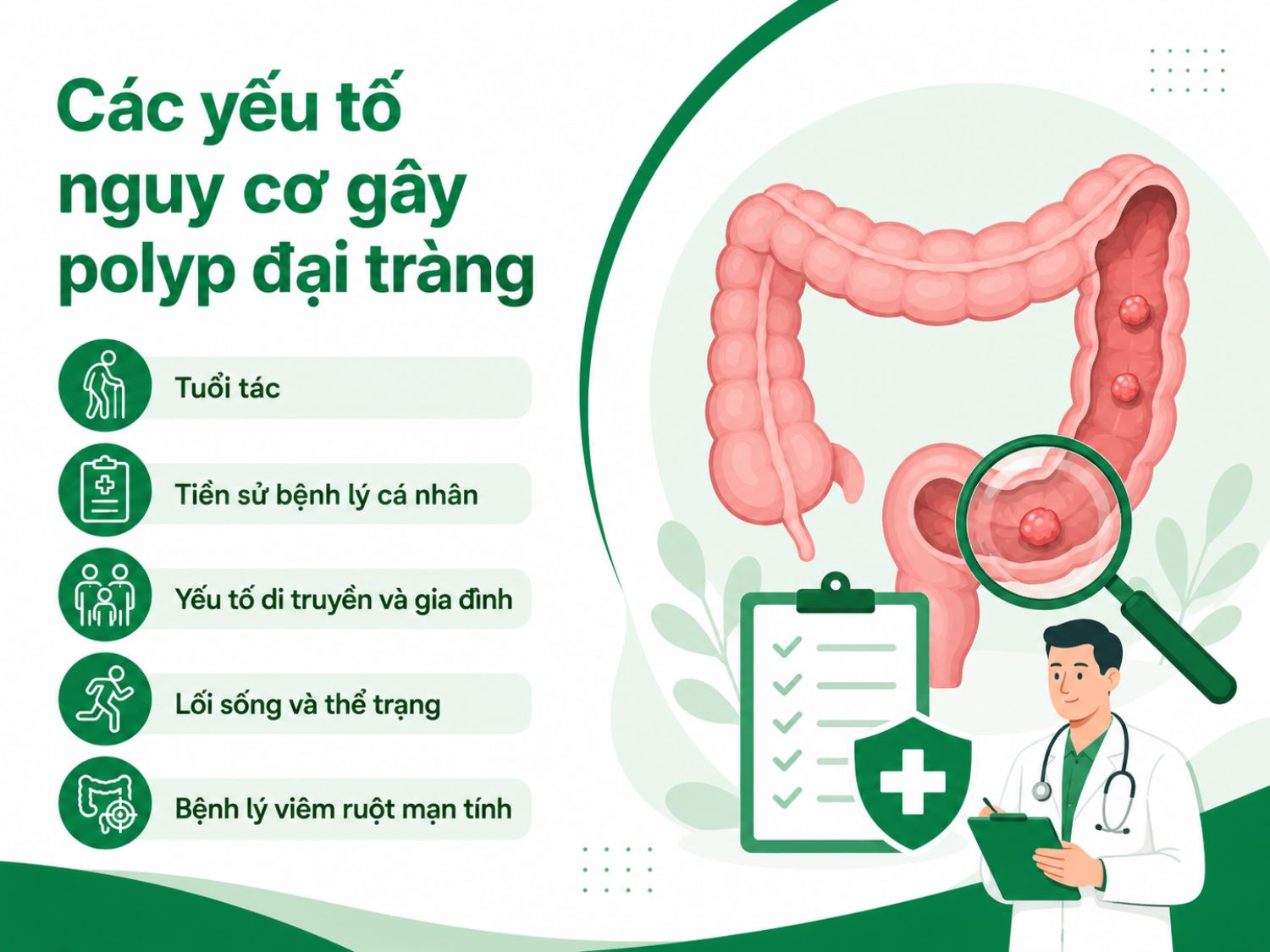 Nguy cơ polyp đại tràng có thể tăng theo tuổi, tiền sử bệnh lý, yếu tố gia đình, lối sống ít vận động hoặc bệnh viêm ruột mạn tính. Những người thuộc nhóm nguy cơ nên chủ động thăm khám và tầm soát định kỳ.
