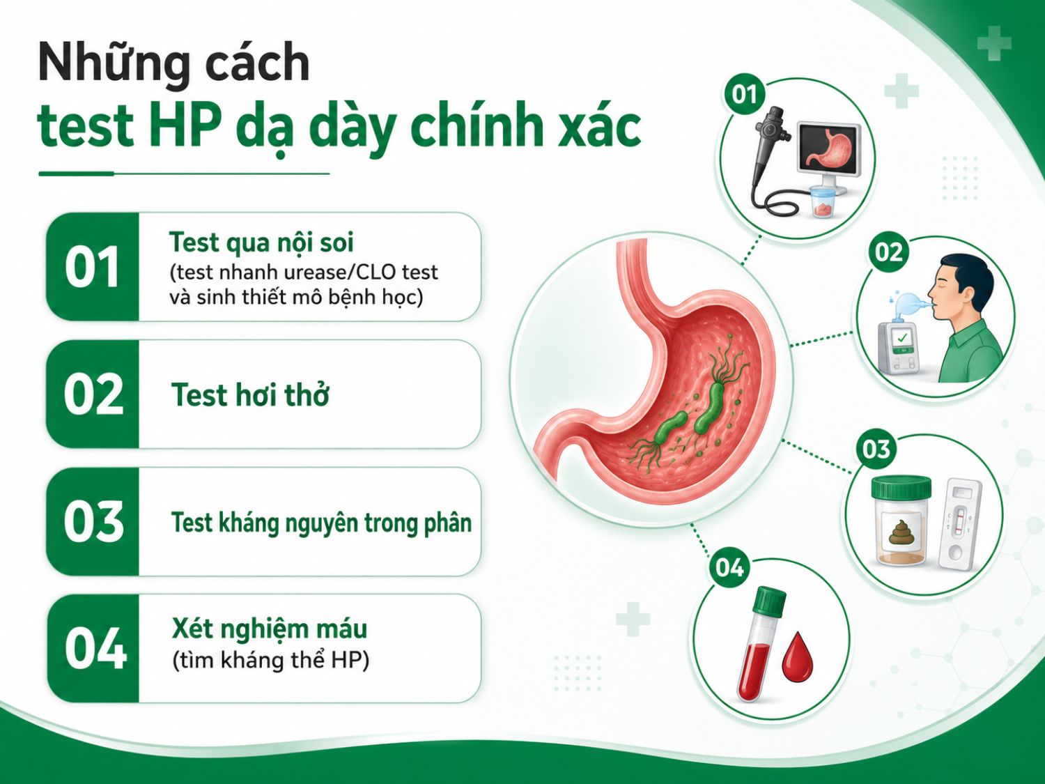 Vi khuẩn HP có thể được kiểm tra bằng nhiều phương pháp như nội soi kết hợp test nhanh urease, test hơi thở, xét nghiệm phân hoặc xét nghiệm máu. Mỗi phương pháp có chỉ định riêng, người bệnh nên thực hiện theo hướng dẫn của bác sĩ để có kết quả phù hợp.