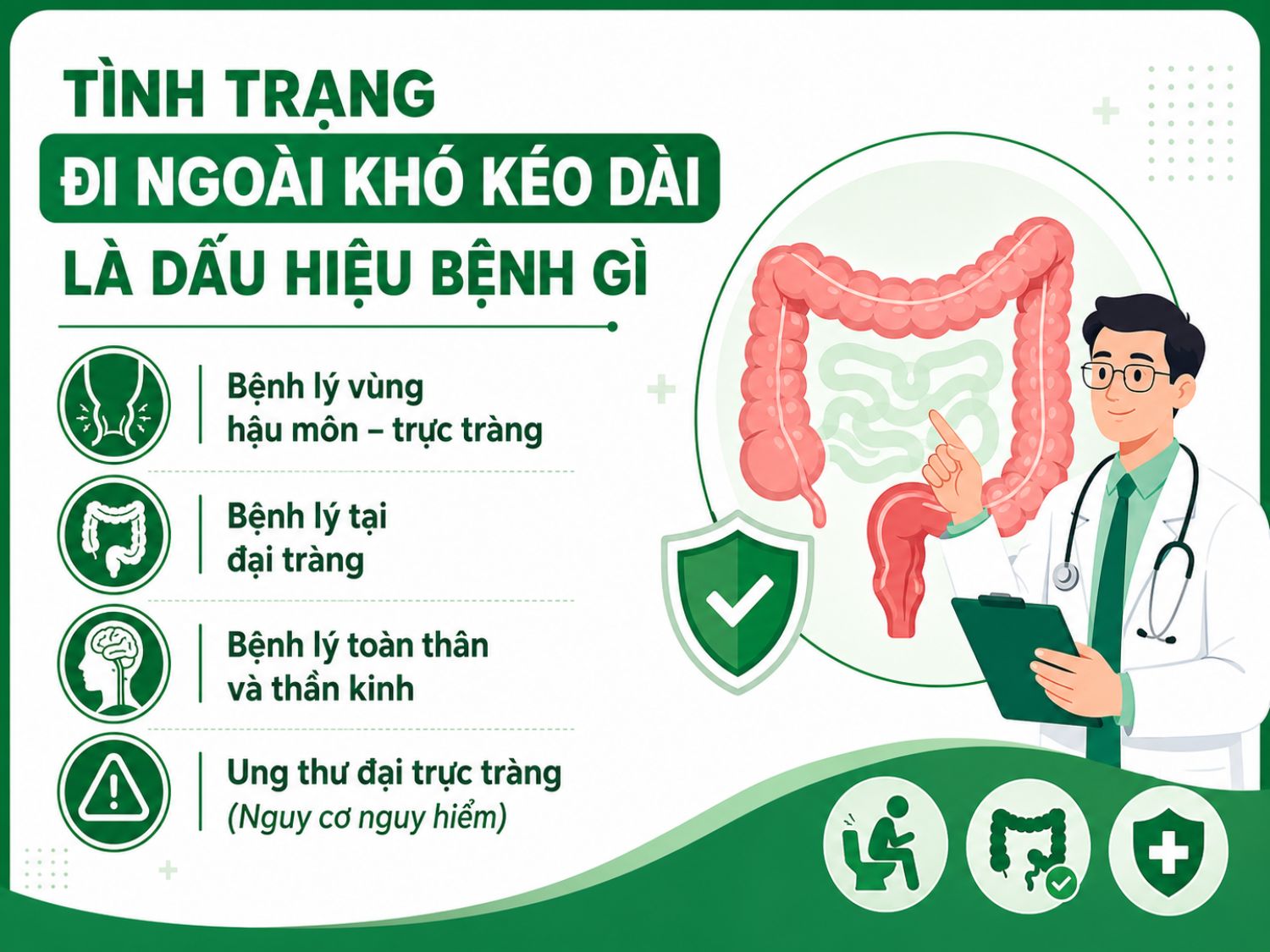 Đi ngoài khó kéo dài có thể liên quan đến táo bón mạn tính, bệnh vùng hậu môn – trực tràng, rối loạn đại tràng hoặc bệnh lý toàn thân. Nếu kèm đau bụng, đi ngoài ra máu, sụt cân hoặc thay đổi thói quen đại tiện, người bệnh nên đi khám sớm.