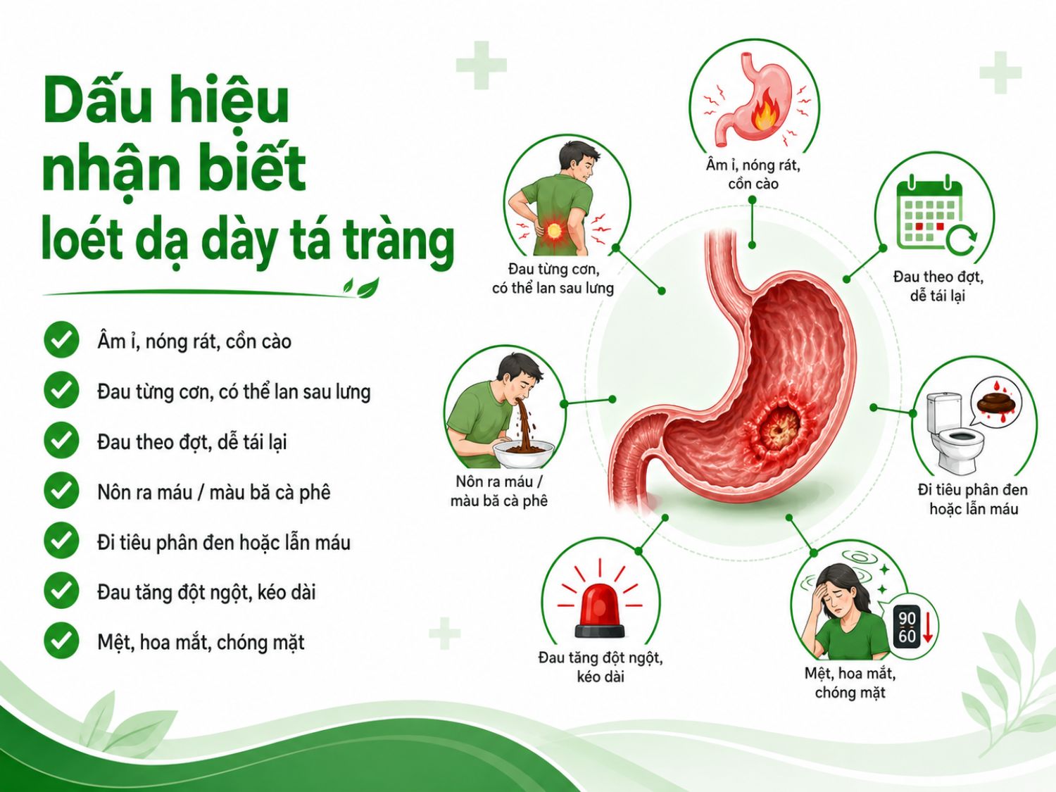 Các biểu hiện như đau âm ỉ, nóng rát vùng thượng vị, đau theo từng đợt, nôn ra máu, đi ngoài phân đen hoặc hoa mắt chóng mặt có thể là dấu hiệu cảnh báo loét dạ dày tá tràng cần thăm khám.