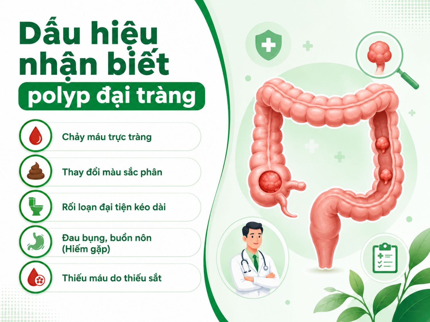 Polyp đại tràng thường không có triệu chứng rõ ràng, nhưng nếu xuất hiện chảy máu trực tràng, phân đổi màu, rối loạn đại tiện kéo dài hoặc thiếu máu không rõ nguyên nhân, người bệnh nên đi khám để được kiểm tra bằng nội soi.