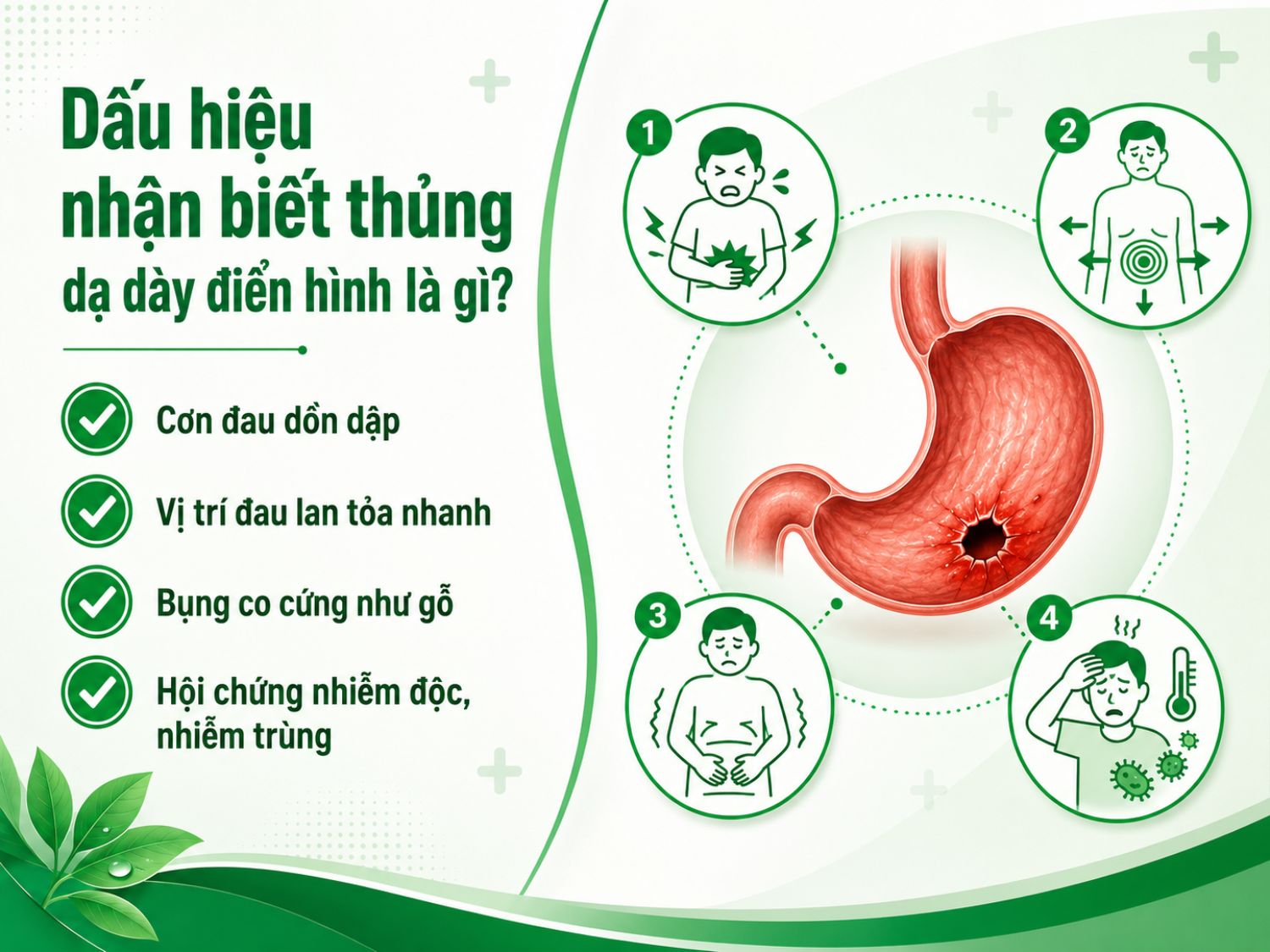 Thủng dạ dày là tình trạng cấp cứu nguy hiểm. Nếu xuất hiện cơn đau bụng dữ dội đột ngột, đau lan nhanh, bụng co cứng hoặc kèm sốt, mệt lả, cần đến cơ sở y tế ngay để được xử trí kịp thời.