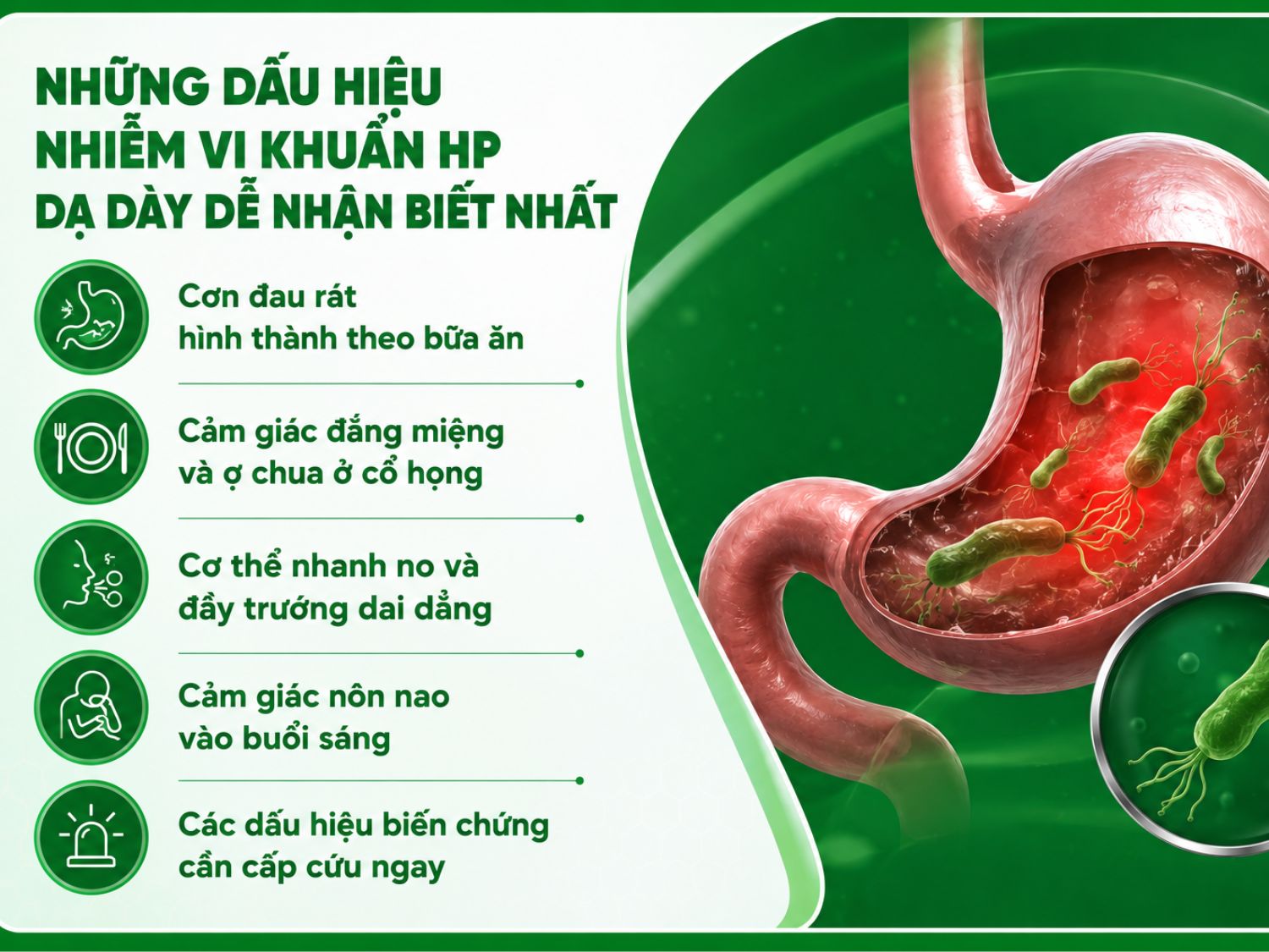 Người bệnh cảm thấy đau rát thượng vị, ợ chưa, nôn nao là những dấu hiệu nhiễm vi khuẩn HP dạ dày