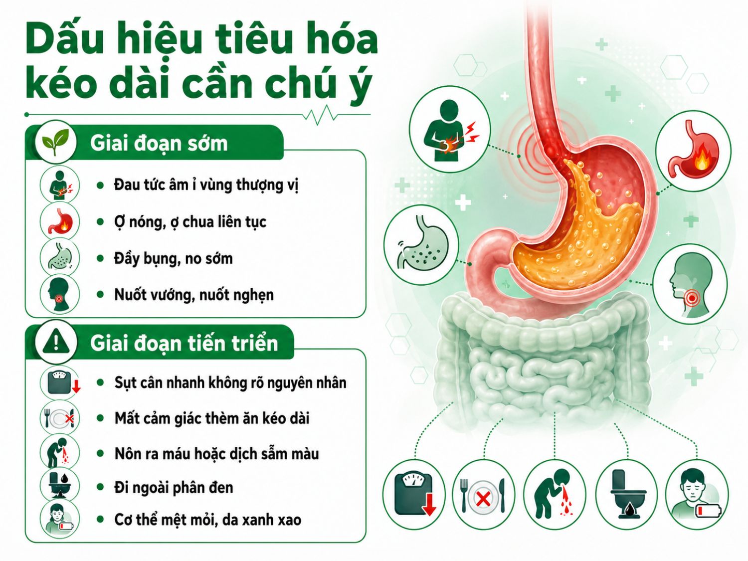 Các triệu chứng tiêu hóa kéo dài như đau thượng vị, ợ nóng, đầy bụng, nuốt nghẹn hoặc no sớm không nên chủ quan. Nếu kèm sụt cân, nôn ra máu, đi ngoài phân đen hoặc mệt mỏi xanh xao, người bệnh cần đi khám sớm để được kiểm tra nguyên nhân.