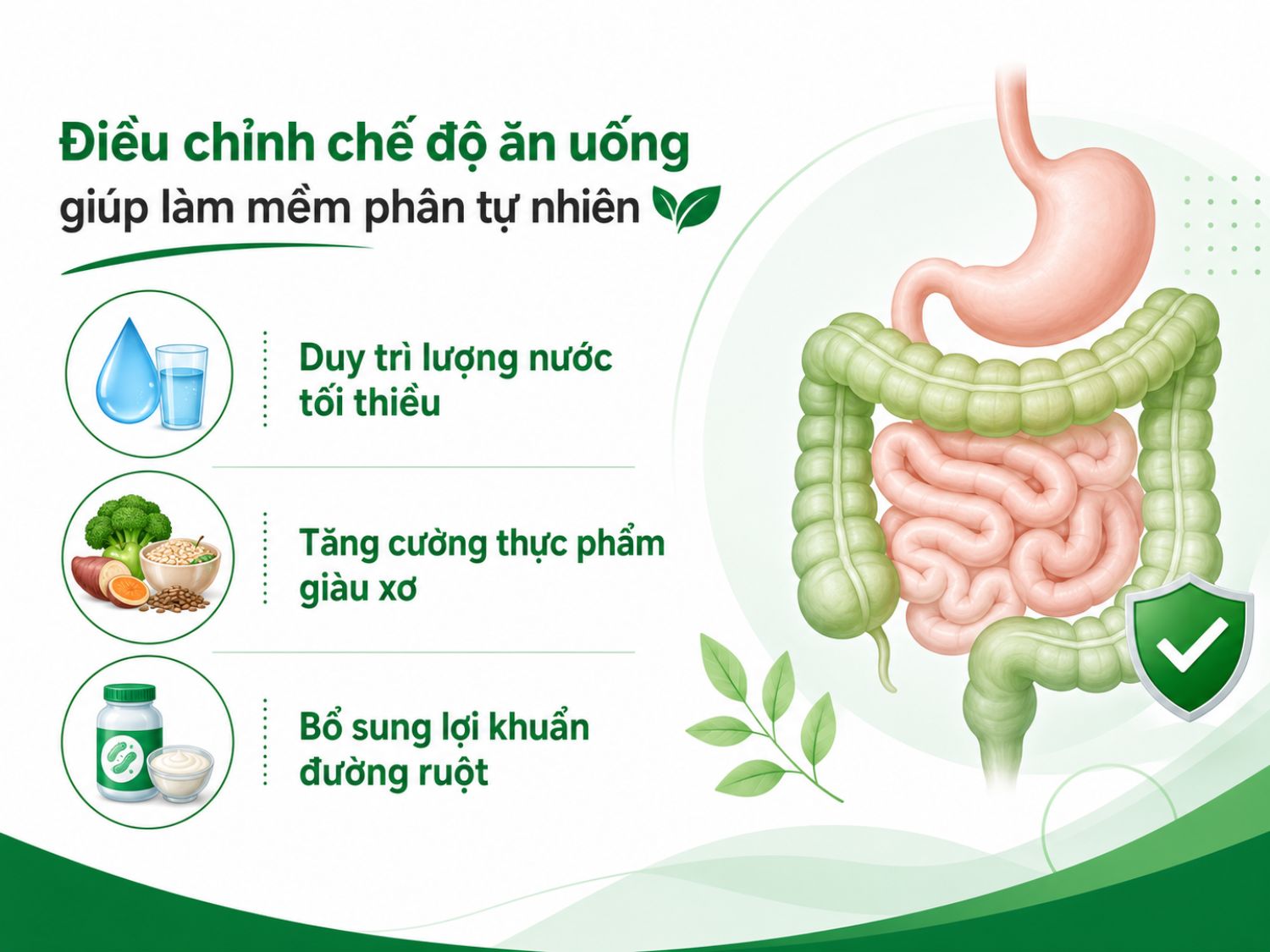 Chế độ ăn giàu chất xơ, uống đủ nước và bổ sung lợi khuẩn có thể giúp phân mềm hơn, hỗ trợ nhu động ruột và cải thiện tình trạng đại tiện khó. Nên duy trì thói quen này đều đặn thay vì chỉ áp dụng khi triệu chứng xuất hiện.
