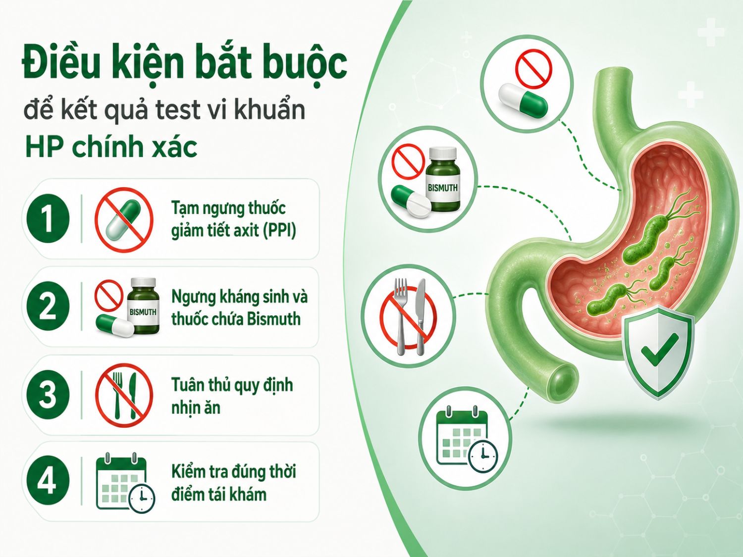 Để kết quả test HP chính xác, người bệnh cần tuân thủ đúng hướng dẫn trước khi kiểm tra, đặc biệt là ngưng một số loại thuốc theo chỉ định, nhịn ăn đúng thời gian và tái khám đúng lịch sau điều trị.