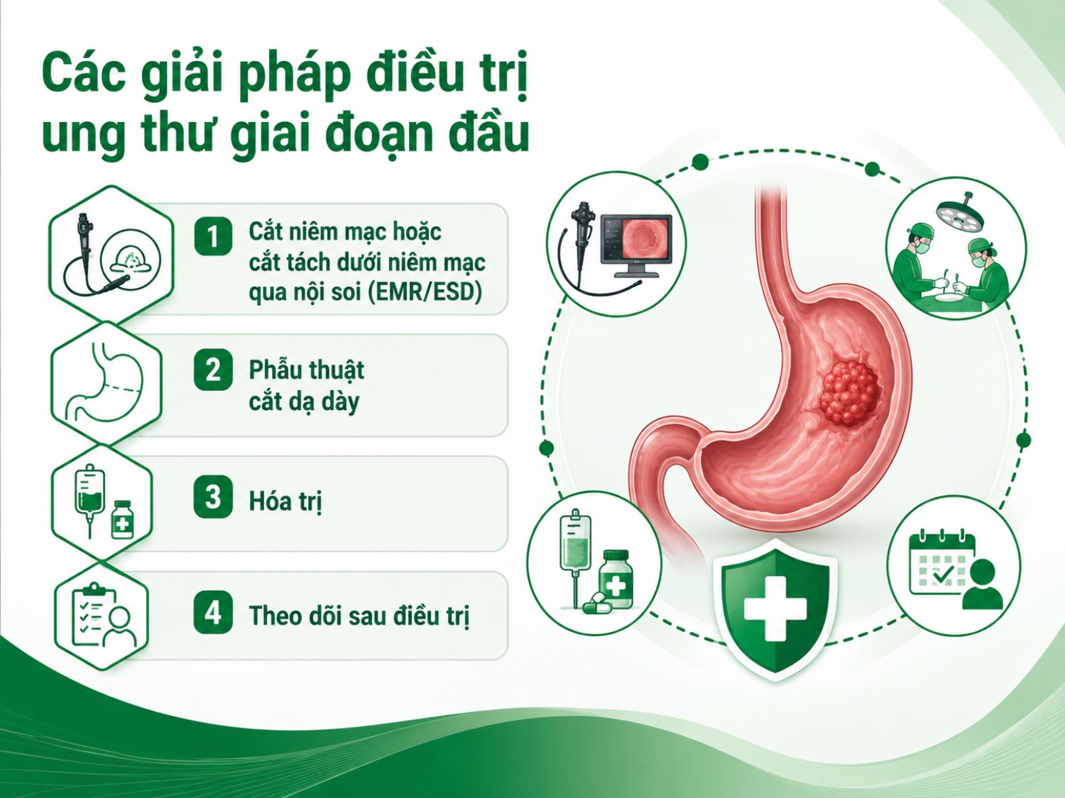 Ở giai đoạn đầu, ung thư dạ dày có thể được điều trị bằng nội soi EMR/ESD, phẫu thuật, hóa trị hoặc theo dõi sau điều trị tùy mức độ tổn thương. Người bệnh cần được bác sĩ chuyên khoa đánh giá để chọn hướng điều trị phù hợp.