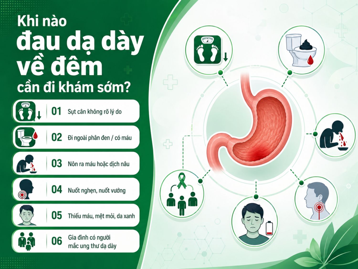 Nếu đau dạ dày về đêm đi kèm sụt cân nhanh, nôn ra máu, phân đen, nuốt nghẹn, thiếu máu hoặc gia đình có tiền sử ung thư dạ dày, người bệnh nên đi khám sớm để được kiểm tra và nội soi khi cần.