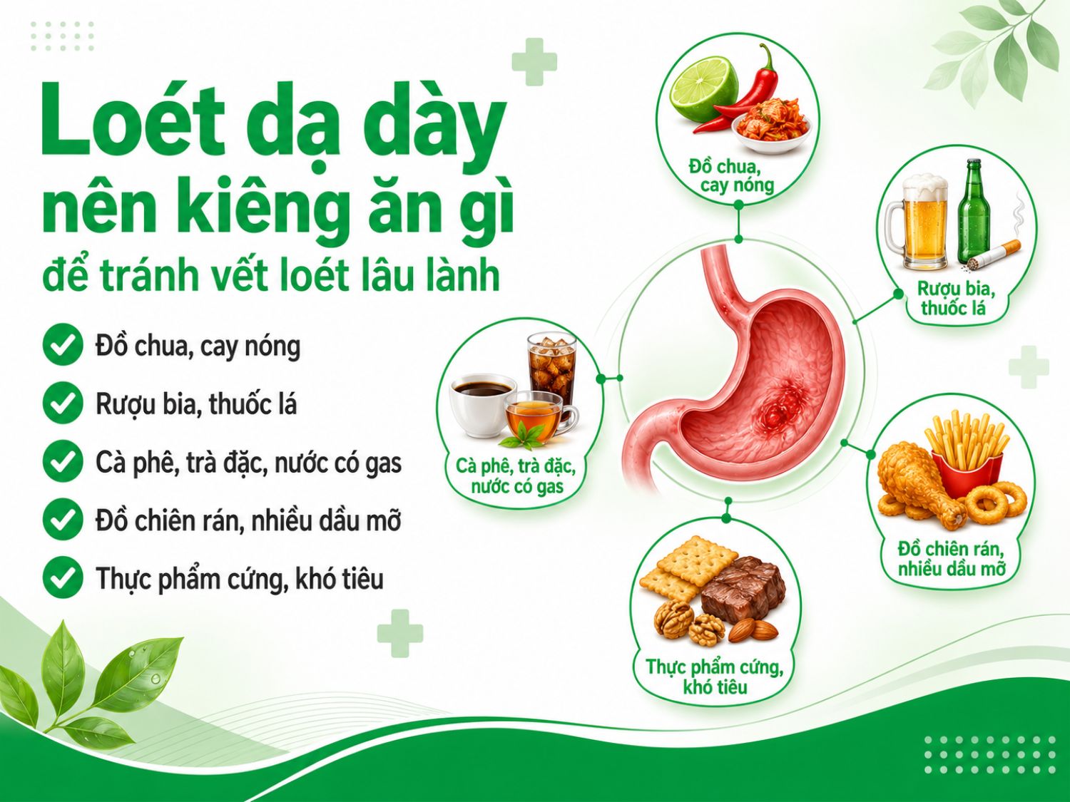 Người bị loét dạ dày nên hạn chế đồ chua cay, rượu bia, thuốc lá, cà phê, nước có gas, món chiên nhiều dầu mỡ và thực phẩm cứng để tránh kích thích vết loét và làm chậm quá trình hồi phục.