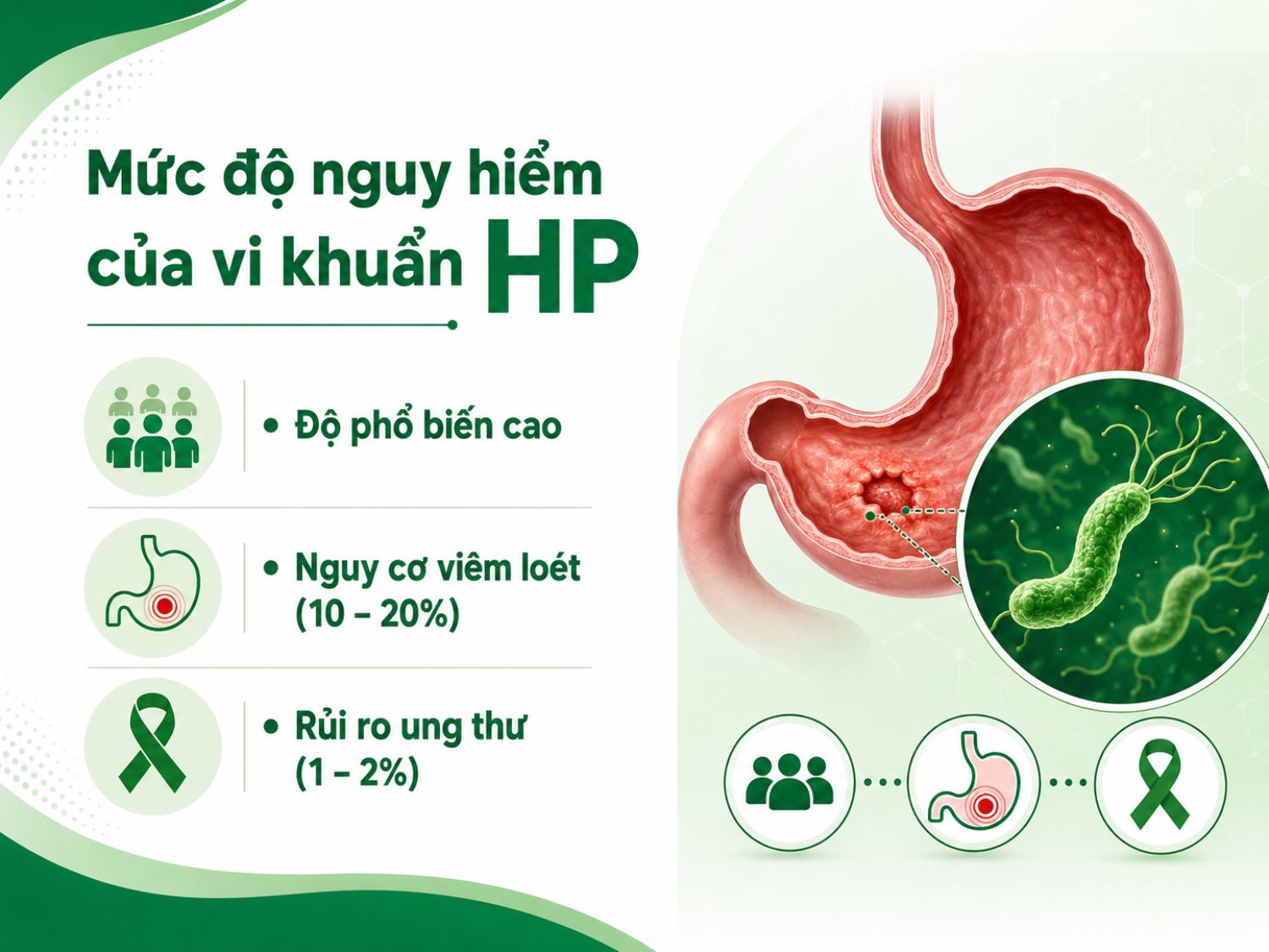 Vi khuẩn HP dạ dày thường gặp ở người Việt Nam