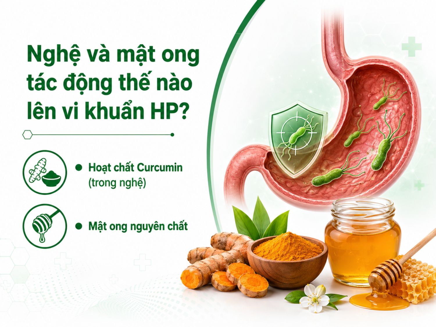 Nghệ và mật ong có thể hỗ trợ làm dịu dạ dày và bảo vệ niêm mạc nhờ Curcumin và các thành phần tự nhiên, nhưng không thể thay thế phác đồ điều trị HP do bác sĩ chỉ định.