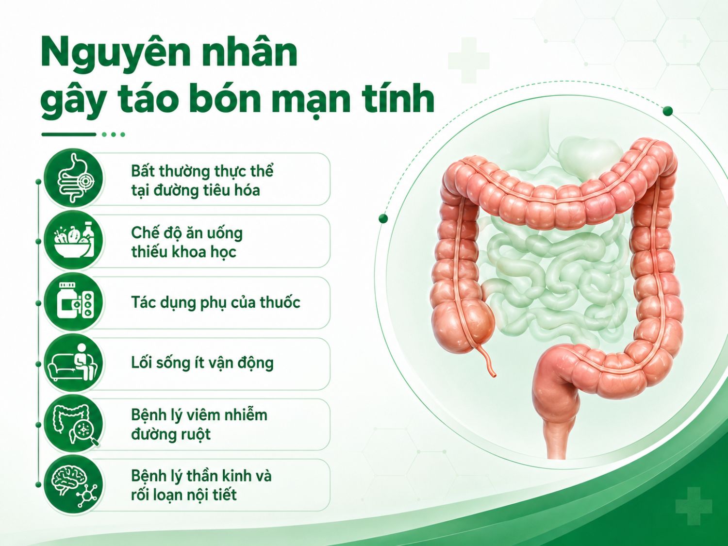 Táo bón mạn tính có thể xuất phát từ nhiều nguyên nhân như chế độ ăn thiếu chất xơ, ít vận động, tác dụng phụ của thuốc hoặc các bệnh lý tiêu hóa – nội tiết cần được thăm khám sớm.