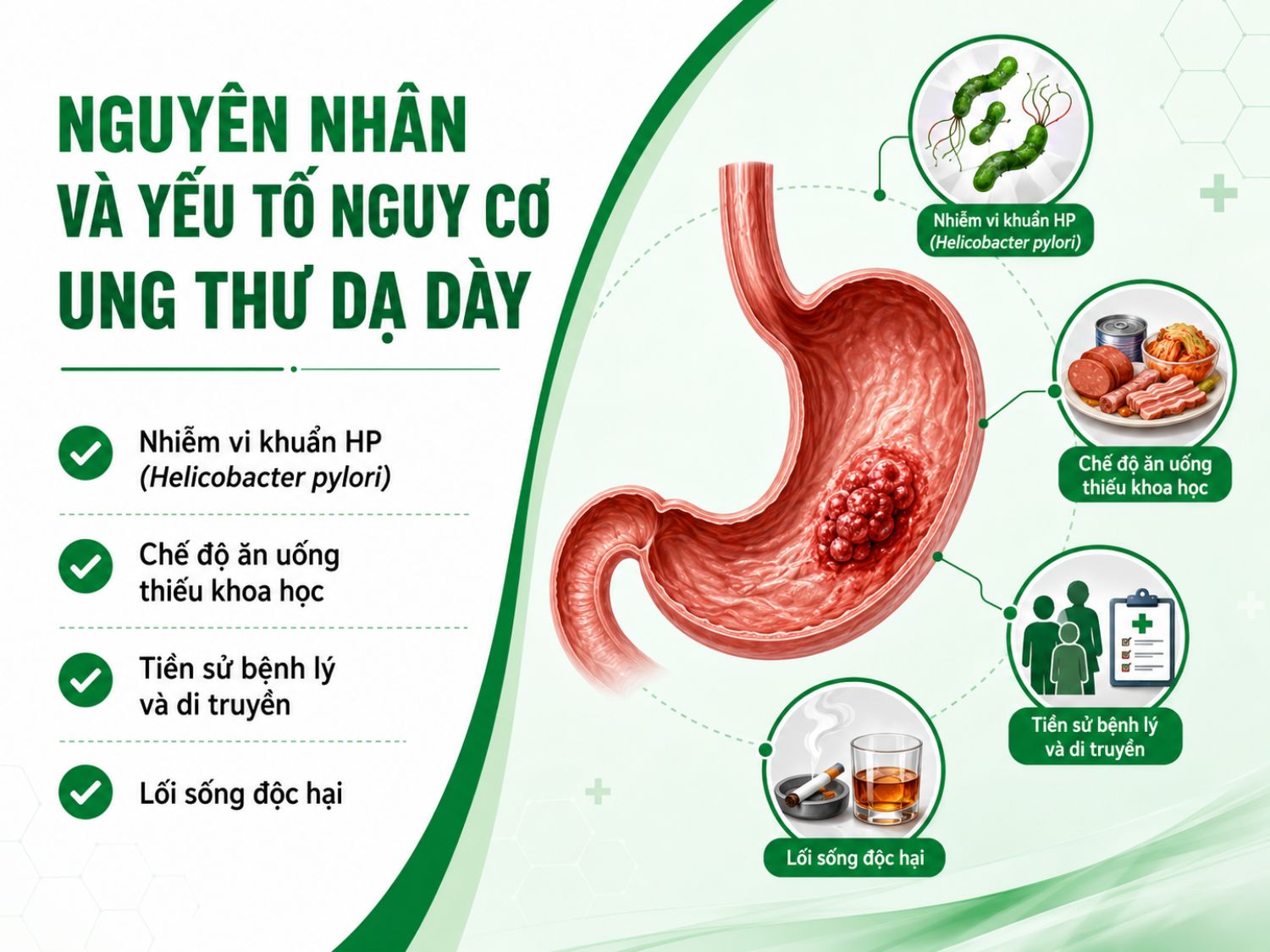 Nguy cơ ung thư dạ dày có thể tăng lên ở người nhiễm HP kéo dài, ăn uống thiếu lành mạnh, có tiền sử bệnh dạ dày hoặc yếu tố di truyền. Lối sống hút thuốc, uống rượu bia cũng là yếu tố cần được kiểm soát.