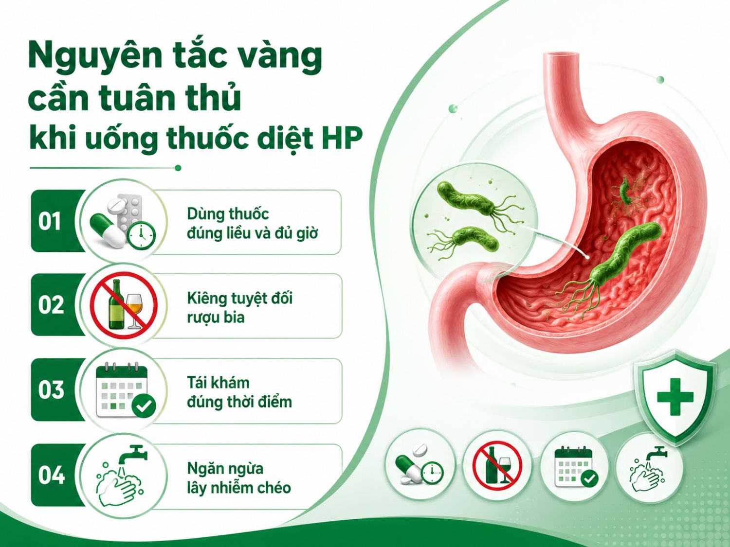 Để tăng hiệu quả điều trị HP và hạn chế tái phát, người bệnh cần uống thuốc đúng phác đồ, tránh rượu bia, tái khám theo lịch hẹn và giữ vệ sinh ăn uống để giảm nguy cơ lây nhiễm chéo.
