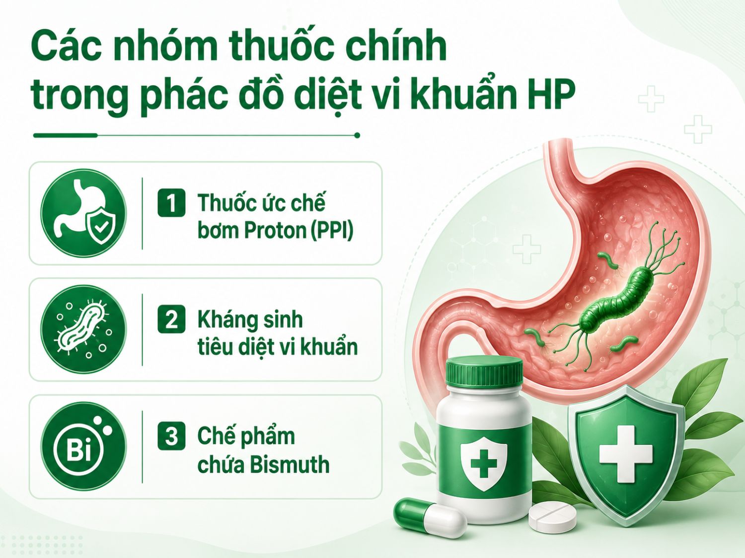 Phác đồ diệt HP thường phối hợp nhiều nhóm thuốc nhằm giảm tiết axit, tiêu diệt vi khuẩn và hỗ trợ bảo vệ niêm mạc dạ dày. Người bệnh cần dùng thuốc đúng theo chỉ định của bác sĩ, không tự ý ngưng hoặc đổi thuốc.
