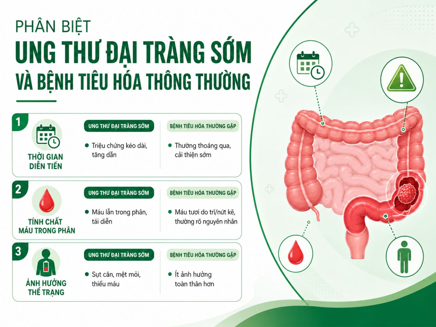 Không phải đau bụng hay rối loạn đại tiện nào cũng đơn giản – cần phân biệt đúng để phát hiện sớm ung thư đại tràng.