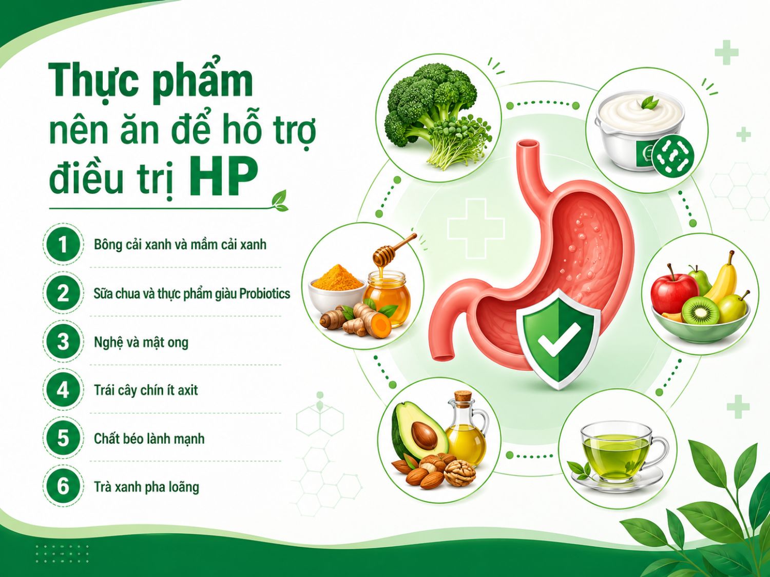 Trong quá trình điều trị HP, người bệnh nên ưu tiên thực phẩm dễ tiêu, giàu lợi khuẩn và ít gây kích ứng dạ dày như sữa chua, rau xanh, trái cây chín ít axit, nghệ mật ong và chất béo lành mạnh.