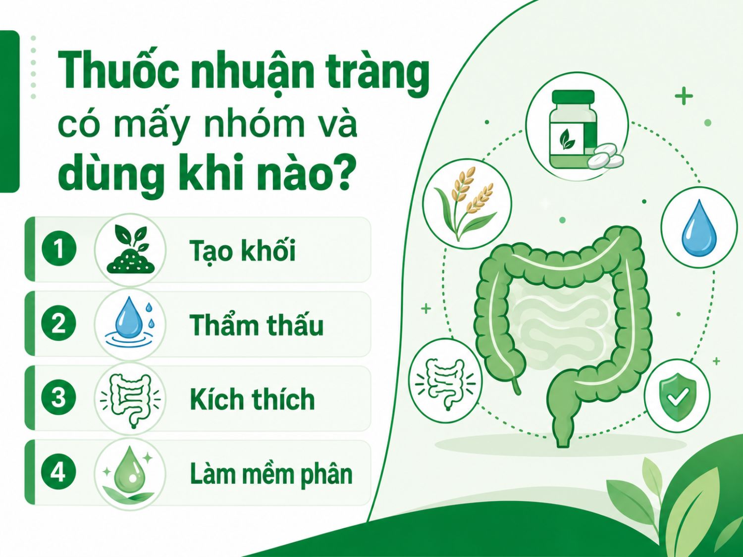 Thuốc nhuận tràng có nhiều nhóm với cơ chế khác nhau như tạo khối phân, giữ nước trong lòng ruột, kích thích nhu động ruột hoặc làm mềm phân. Người bệnh nên dùng đúng loại, đúng thời điểm và theo hướng dẫn để tránh lệ thuộc thuốc.