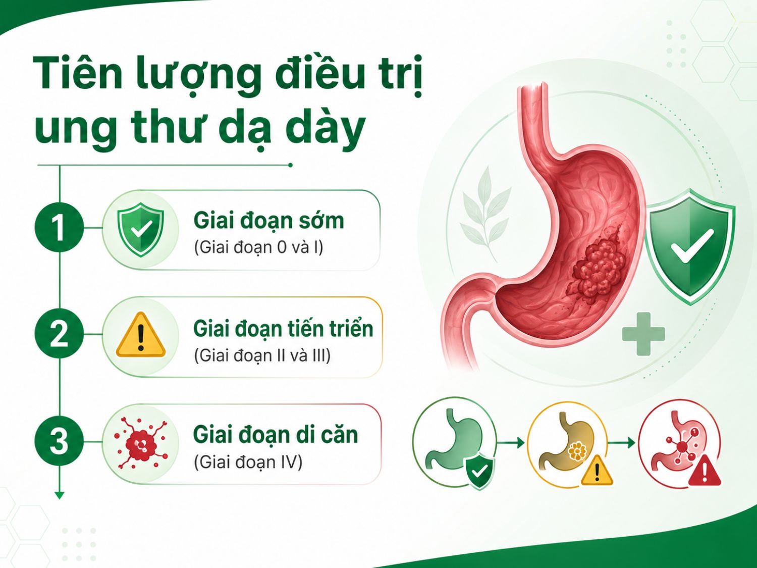 Tiên lượng điều trị ung thư dạ dày phụ thuộc nhiều vào giai đoạn phát hiện bệnh. Nếu được phát hiện ở giai đoạn sớm, cơ hội điều trị hiệu quả thường cao hơn so với giai đoạn tiến triển hoặc đã di căn.