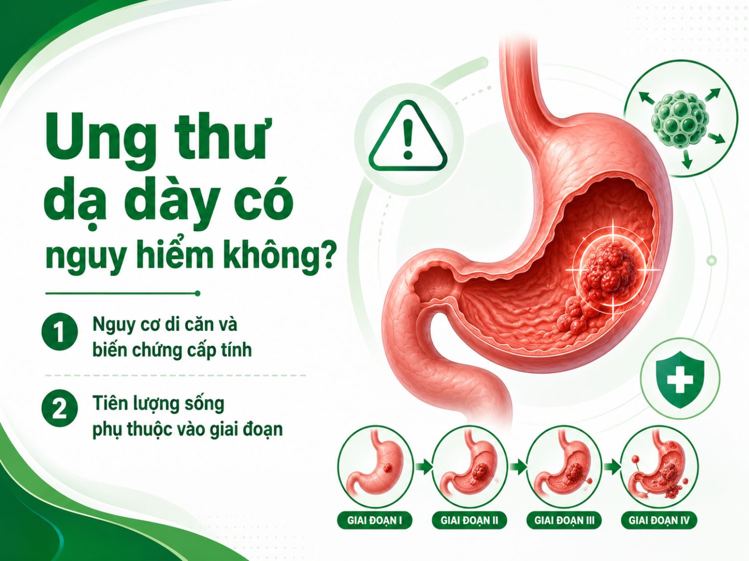 Ung thư dạ dày là bệnh lý nguy hiểm vì có thể tiến triển âm thầm, gây biến chứng và di căn nếu phát hiện muộn. Tiên lượng điều trị phụ thuộc nhiều vào giai đoạn bệnh, vì vậy tầm soát sớm rất quan trọng.