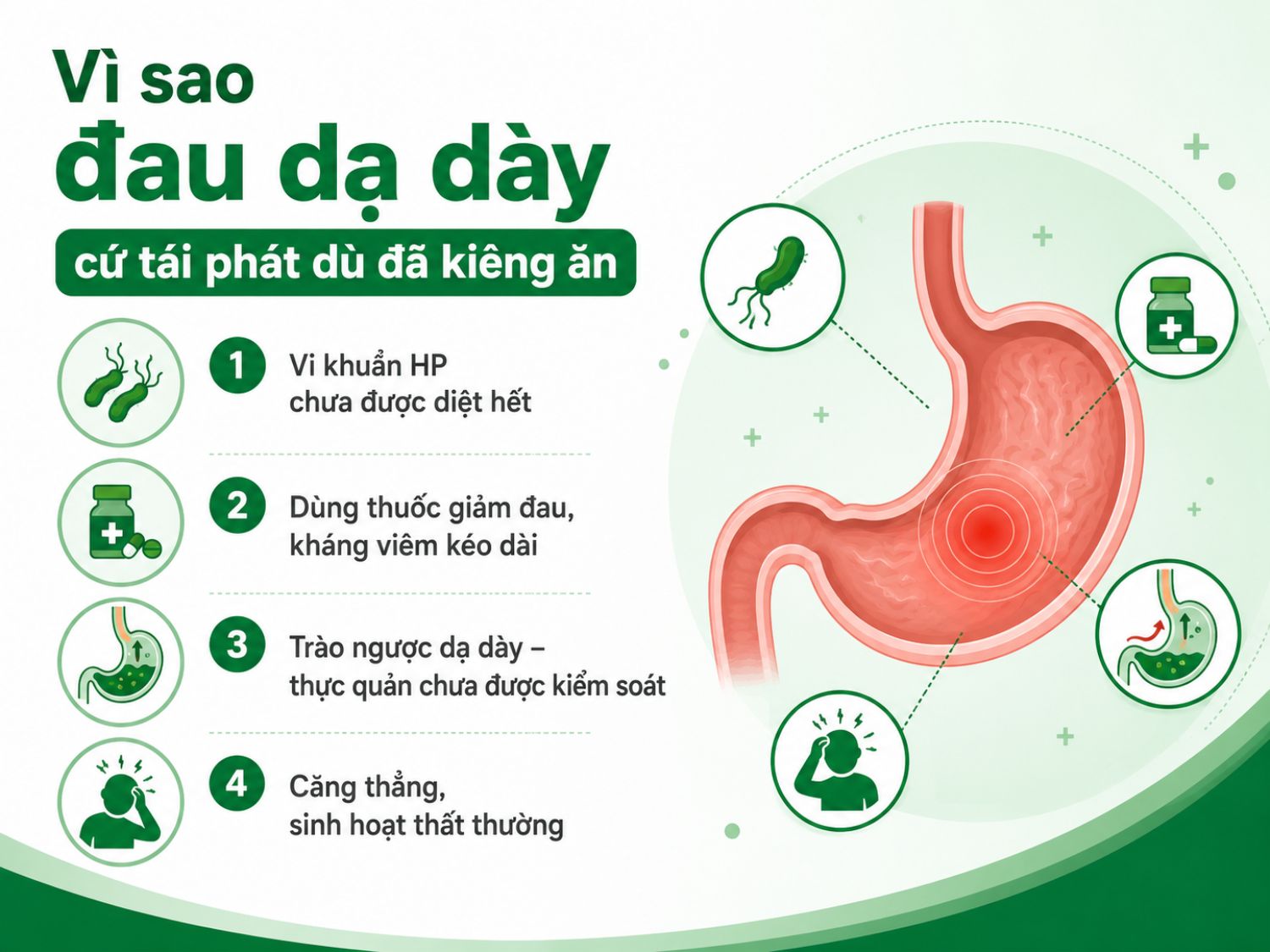 Kiêng ăn chỉ giúp giảm kích ứng tạm thời, nhưng đau dạ dày vẫn có thể tái phát nếu nguyên nhân chính chưa được xử lý. Người bệnh nên kiểm tra HP, thói quen dùng thuốc, tình trạng trào ngược và điều chỉnh sinh hoạt để kiểm soát bệnh tốt hơn.