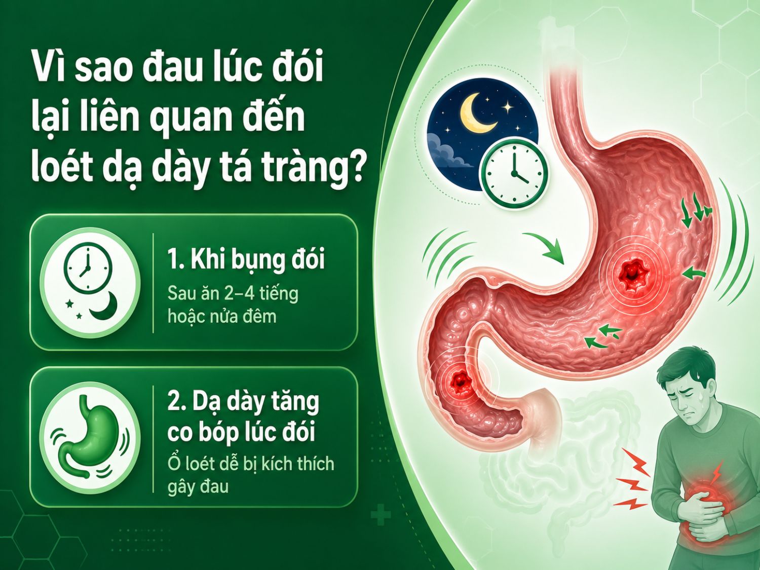 Đau bụng khi đói có thể liên quan đến loét dạ dày tá tràng vì lúc này dạ dày tăng co bóp, axit dễ kích thích ổ loét và gây đau vùng thượng vị, nhất là sau ăn vài giờ hoặc về đêm.