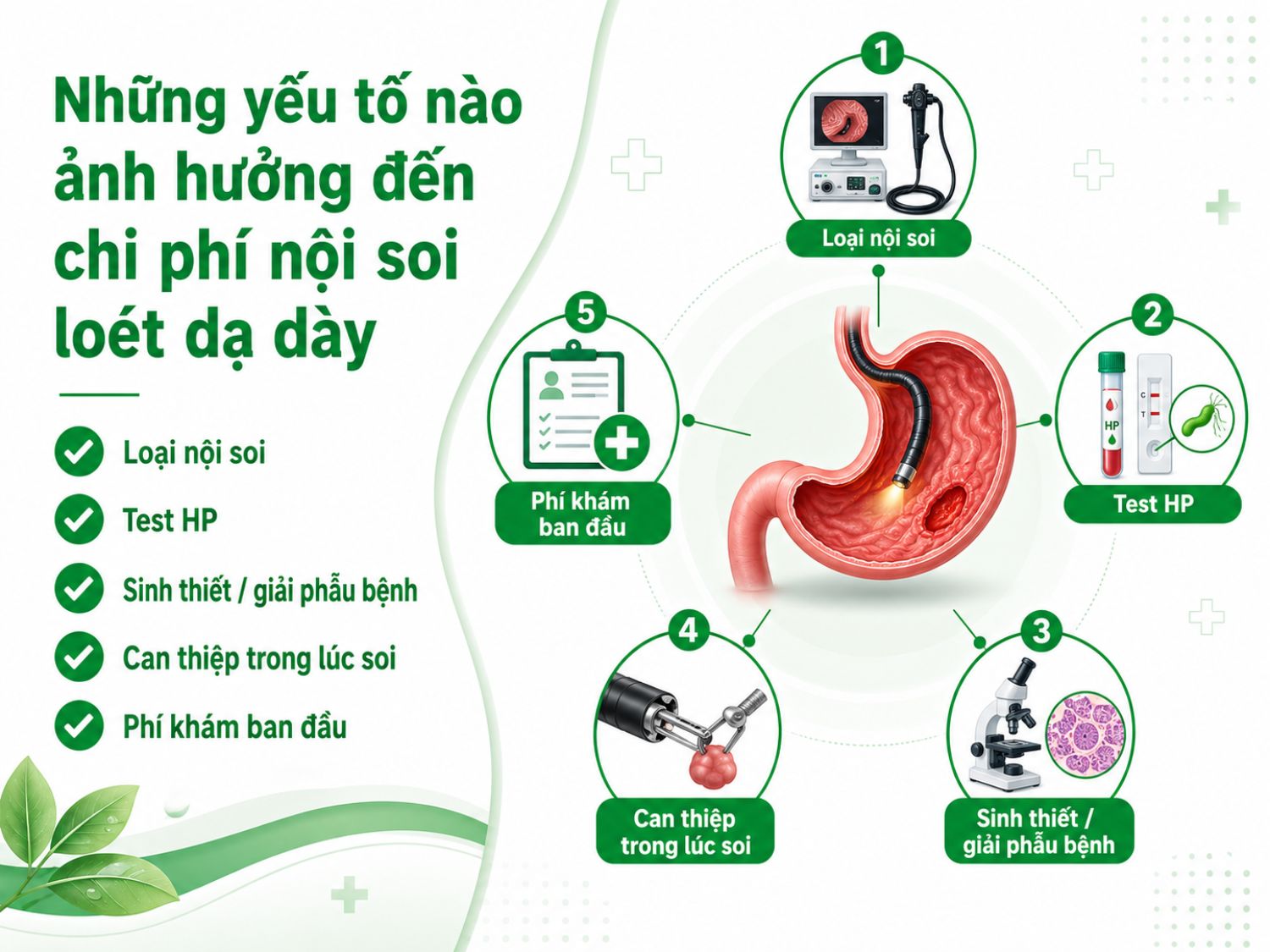Chi phí nội soi loét dạ dày có thể thay đổi tùy theo phương pháp nội soi, việc test vi khuẩn HP, sinh thiết giải phẫu bệnh, can thiệp trong lúc soi và phí thăm khám ban đầu.