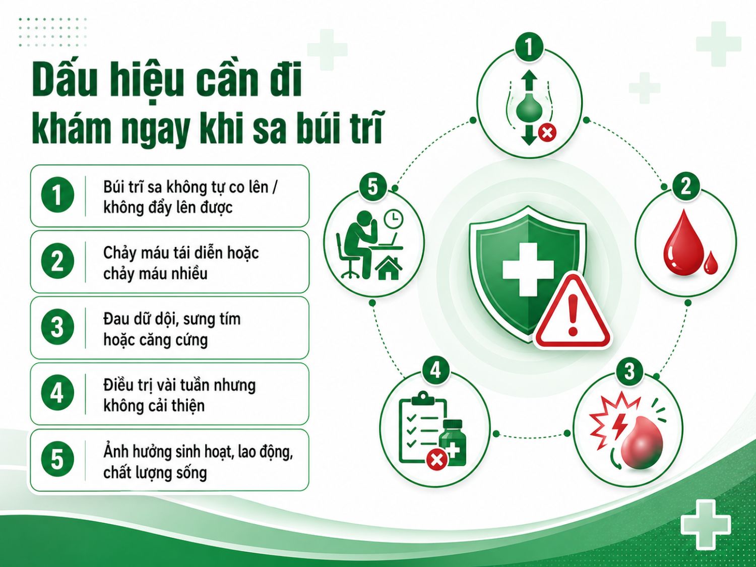 Cần đi khám sớm nếu búi trĩ không thể đẩy lên, chảy máu tái diễn, đau dữ dội, sưng tím hoặc ảnh hưởng nghiêm trọng đến sinh hoạt.